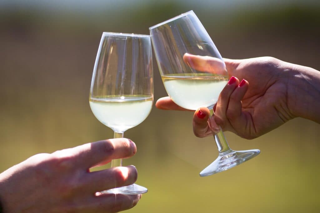 Anstossen mit Gläsern Vermentino bei einer Verkostung der Cantina Aru